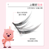 【Loopy联名】everbab 海狸眼假睫毛 商品缩略图3