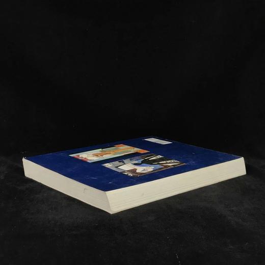 马蒂斯与毕加索 数百幅插图 平装大16开 商品图2