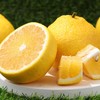 【水果礼盒】新鲜甜橙柚礼盒装9.5斤（带箱） 商品缩略图0