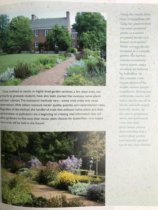 蝴蝶园艺：北美蝴蝶协会指南 200余幅插图 平装16开 商品图11