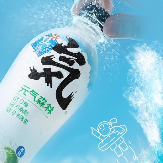 元气森林 海盐椰子味苏打气泡水 480ml/瓶 商品图2