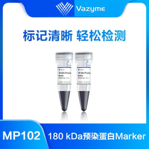 180 kDa Prestained Protein Marker 商品图0