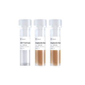 Mouse CD8+ T Cell Isolation Kit