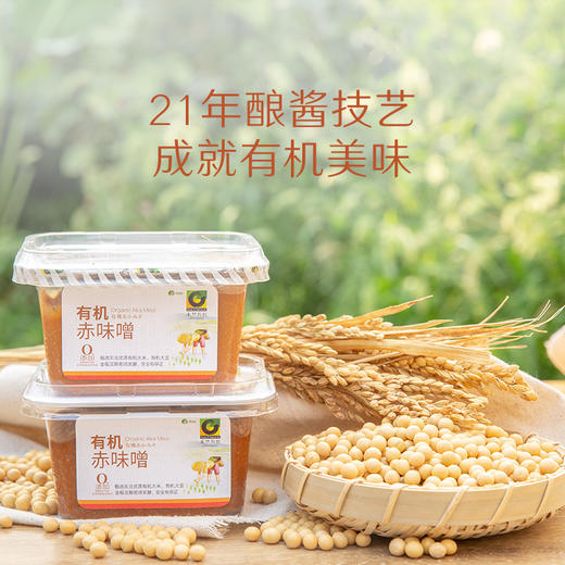 禾然有机赤味噌300g 商品图4