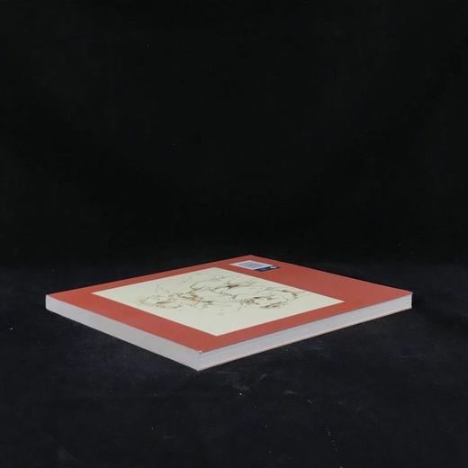 埃德温·兰德尔私人画集 125幅插图 平装16开 商品图2