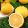【水果礼盒】新鲜甜橙柚礼盒装9.5斤（带箱） 商品缩略图3