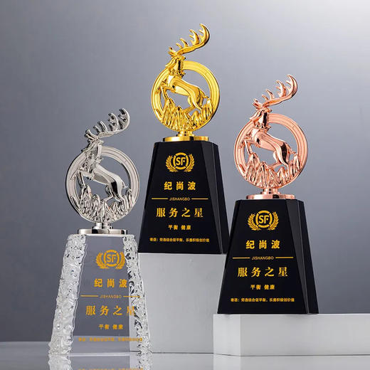 新款金属水晶奖杯定制年会优秀员工颁奖创意金银铜订制周年纪念品 · 款式1 商品图2