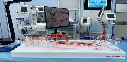 神经介入手术训练模型
型号：NVII 商品图1