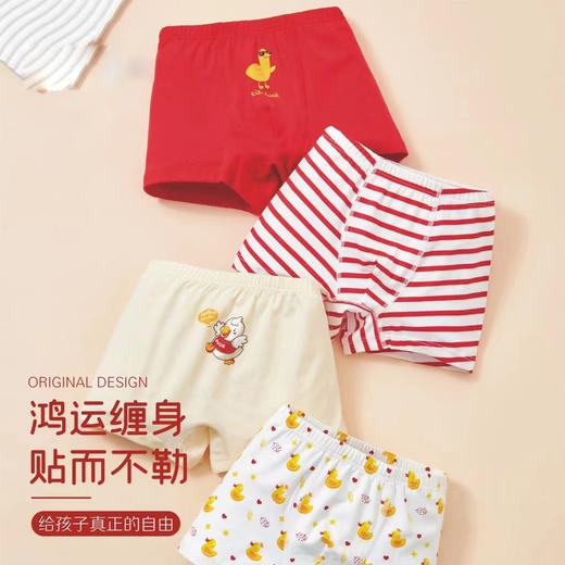 男童中童【四条装】平角鸿运棉内裤【KDN8018】 商品图0