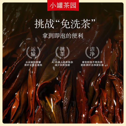 小罐茶园 彩标系列(多泡装) 2罐装 四选一 (花香小种红茶、滇红、寿眉茶、陈皮白茶） 商品图4