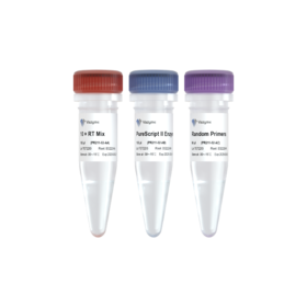 PureScript II 1st Strand cDNA Synthesis Kit (Low Nucleic-acid Contamination)