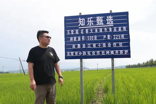 【15积分+84.8元兑换】五常大米家庭装10斤 商品图2