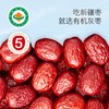 正宗新疆一级有机且末灰枣 优质红枣500g*2袋 商品缩略图1