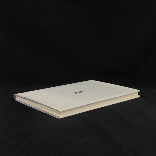 波兰绘画，十五至二十世纪 160幅彩色插图 精装大16开 商品图2