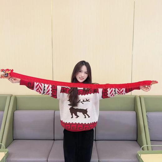 盘龙红色/行运一条龙 商品图2