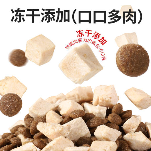 原始兽乳鸽红枣冻干猫粮500g全价主粮 红枣补气配方 添加200亿益生菌 不吃包退 商品图3