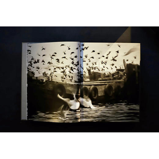 阿拉·古勒的伊斯坦布尔 商品图2