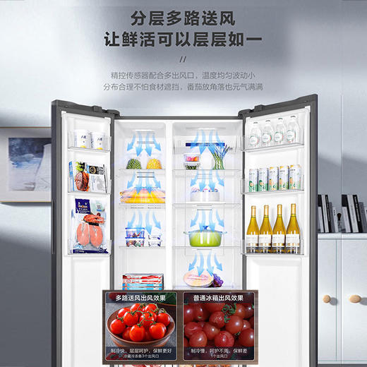 海尔539升对开门冰箱 彩晶一级变频 阻氧干湿分储 DEO净味家用 玉墨银BCD-539WGHSSE5SL 商品图4