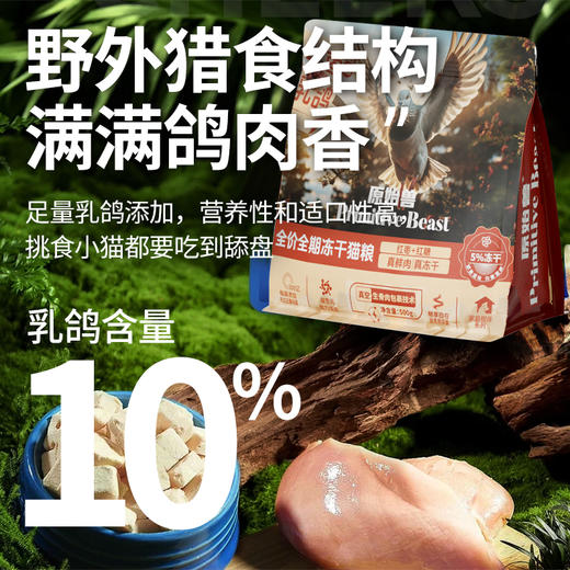 原始兽乳鸽红枣冻干猫粮500g全价主粮 红枣补气配方 添加200亿益生菌 不吃包退 商品图2