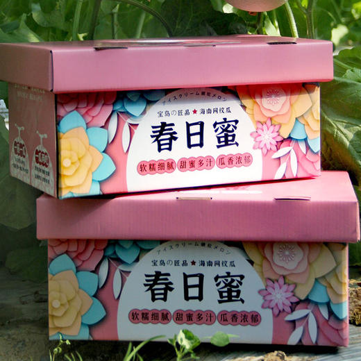 春日蜜海南网纹瓜+黄金蜜瓜礼盒  软糯甜蜜 香味浓郁 京东发货 商品图7