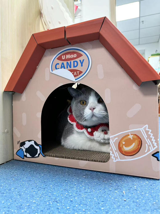 Umao有毛 奶糖橘子糖毛毛甜甜糖果猫屋猫窝  猫抓板+纸猫窝 大容量屋顶可趴 商品图5