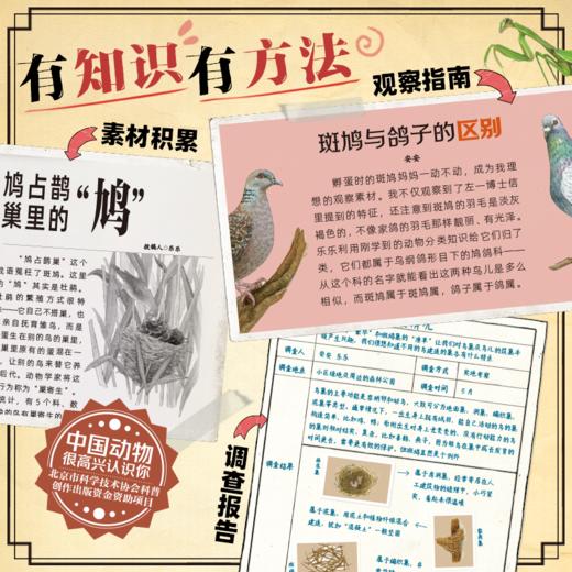 中国植物+动物 很高兴认识你（全8册） 商品图7