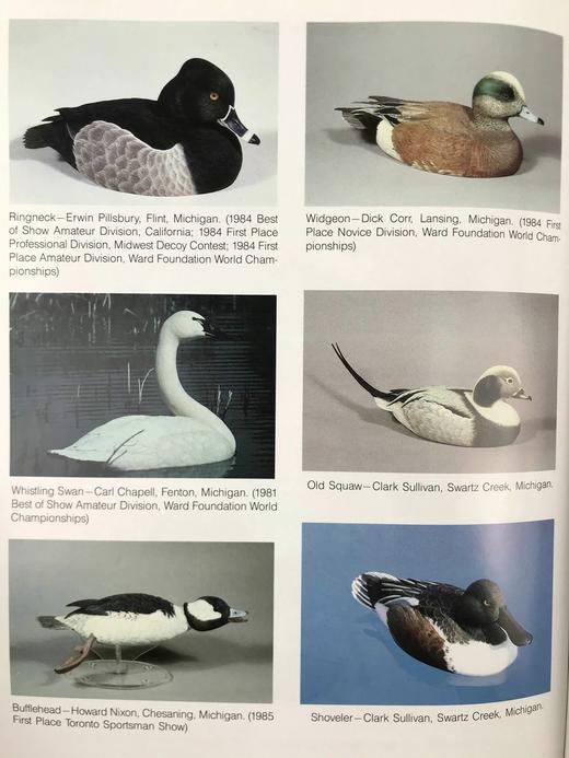 野生动物木雕指南 约200幅插图 精装16开 商品图6