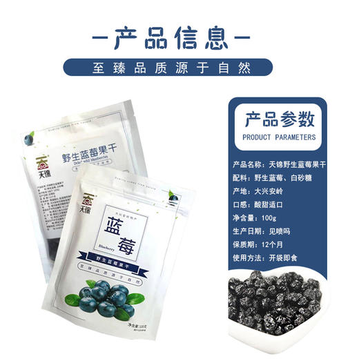 天锦 蓝莓果干100g 商品图3