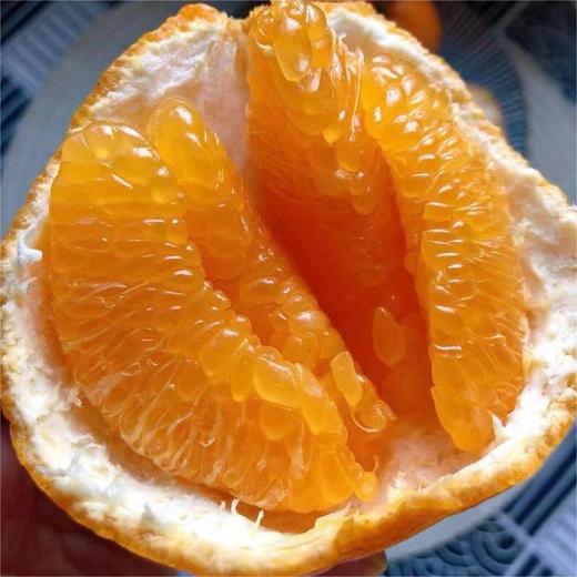 四川春见耙耙柑大果彩箱装5~8斤 商品图0