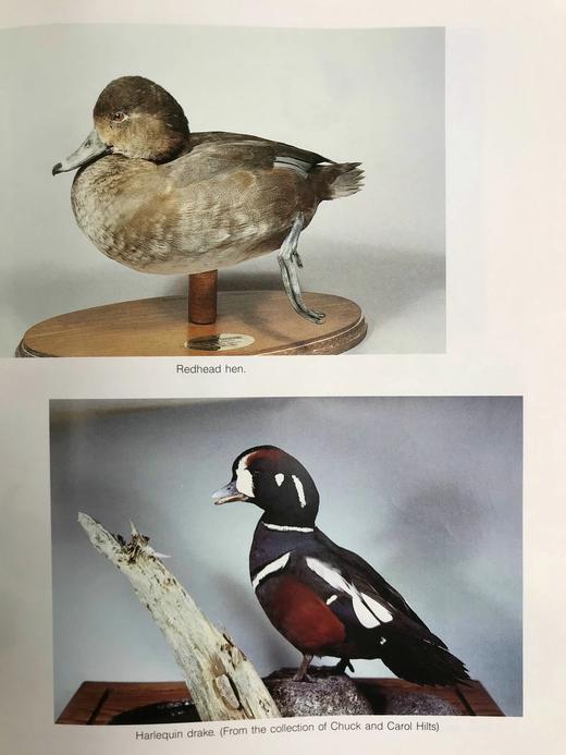 野生动物木雕指南 约200幅插图 精装16开 商品图8