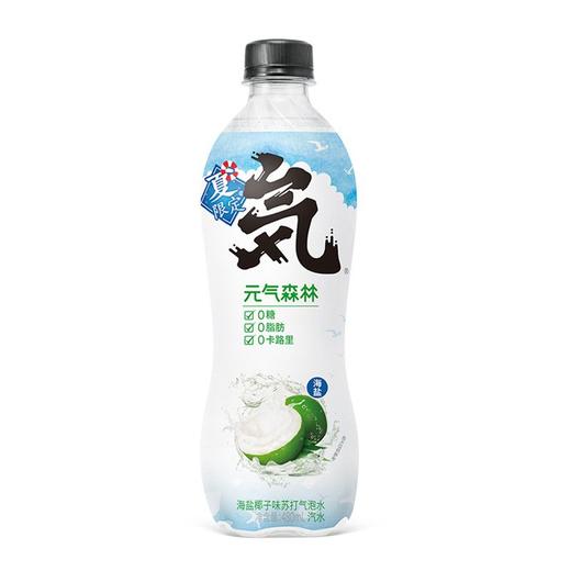 元气森林 海盐椰子味苏打气泡水 480ml/瓶 商品图0