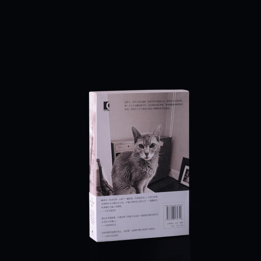 《从昨日醒来：帕蒂·史密斯的影像日记》（美国国家图书奖得主，与《只是孩子》互文的私藏影像） 商品图4