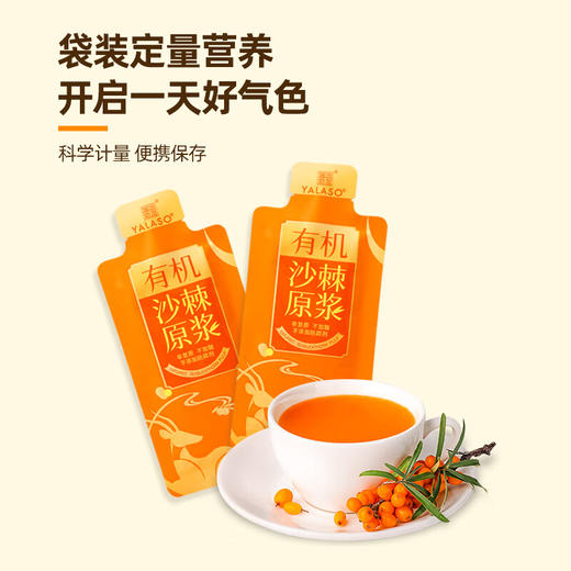 有机沙棘原浆 | 鲜果成浆 多重营养【拾爸精选】 商品图1