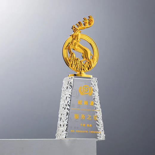 新款金属水晶奖杯定制年会优秀员工颁奖创意金银铜订制周年纪念品 · 款式1 商品图4