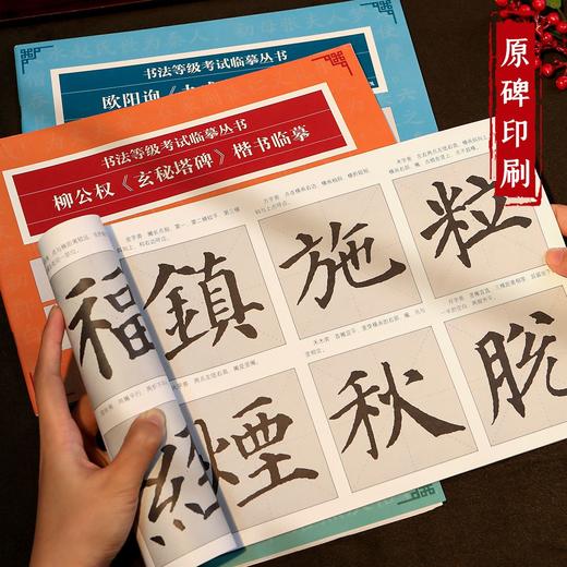 软笔【书法等级考试】临摹本颜真卿多宝塔碑楷书丛书初学者入门楷书 商品图8