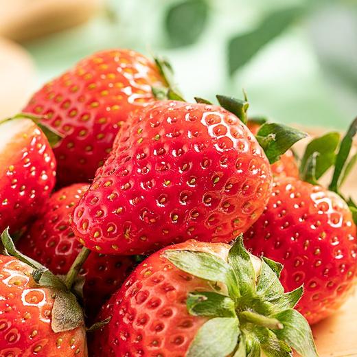 新鲜水果 柳陂红颜草莓 商品图0