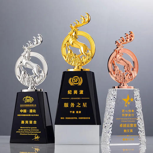 新款金属水晶奖杯定制年会优秀员工颁奖创意金银铜订制周年纪念品 · 款式1 商品图0
