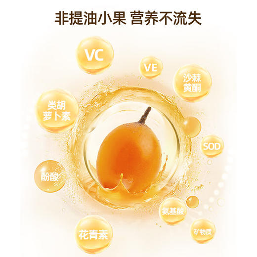 有机沙棘原浆 | 鲜果成浆 多重营养【拾爸精选】 商品图3