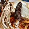 【菌汤包】福建古田深山野生菌 九种食材 煲汤食补养生菌汤包 50g*4包 商品缩略图1