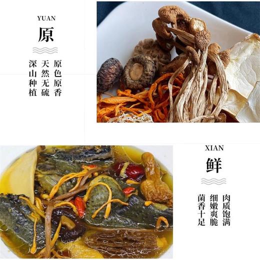 【菌汤包】福建古田深山野生菌 九种食材 煲汤食补养生菌汤包 50g*4包 商品图7