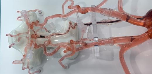 神经介入手术训练模型
型号：NVII 商品图2