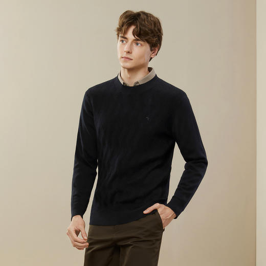 【纯羊毛】柒牌男士羊毛衫秋冬新款时尚休闲百搭圆领保暖毛衣	125Y70070 商品图1