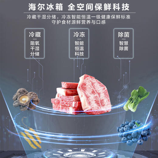海尔505L全空间保鲜零嵌彩晶智能语音全温区T型门冰箱BCD-505WGHTD14SLU1 商品图1