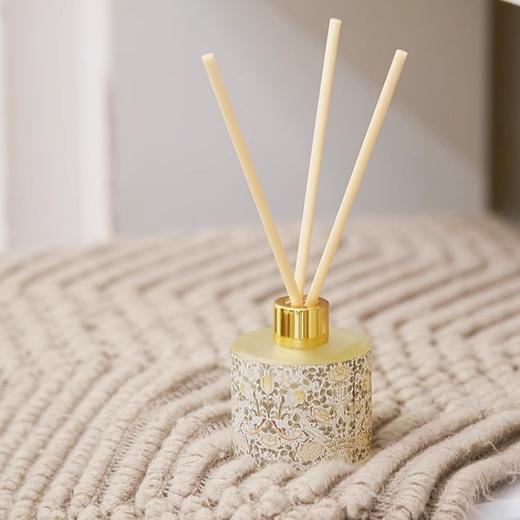 V&A博物馆威廉莫里斯系列 茛苕叶玫瑰室内无火香薰 香氛散香器50ml 商品图1