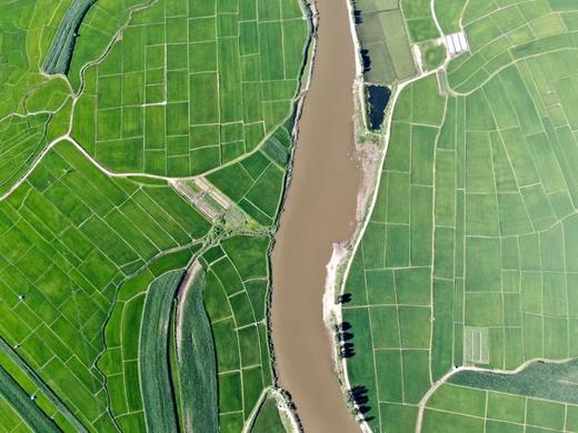 【15积分+84.8元兑换】五常大米家庭装10斤 商品图5