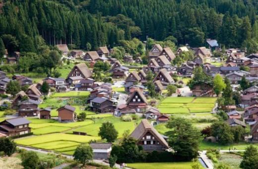 名古屋出发白川乡+高山一日游【需二次确认】B-0051 商品图3