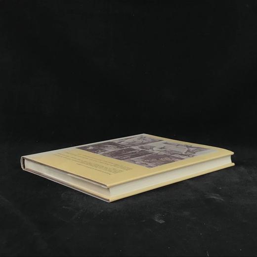 照片中的维多利亚艺术世界 数百幅插图 精装16开 商品图2