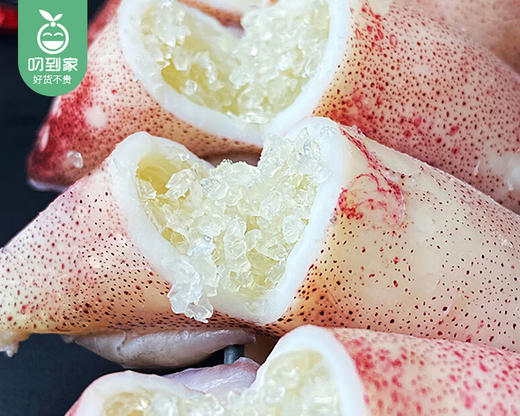 【叼鲜】本港冰鲜带籽鱿鱼母/1份（7-9只，共约400g） 商品图2