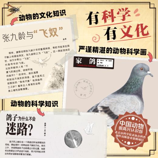 中国植物+动物 很高兴认识你（全8册） 商品图6