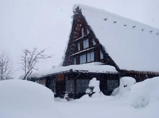 名古屋出发白川乡+高山一日游【需二次确认】B-0051 商品图5